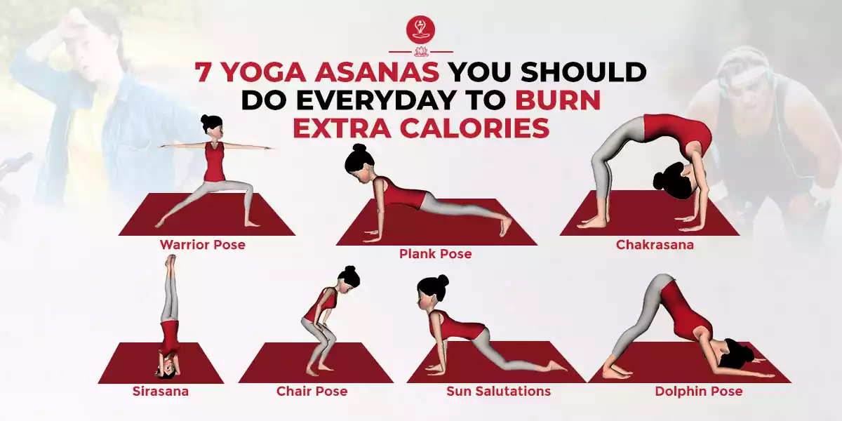 what yoga burns the most calories